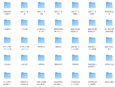 70部搞钱记录片-搞钱必备335G